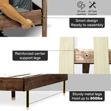 Acacia Astoria Upholstered Solid Wood Bed Frame - Megsu